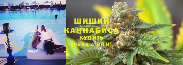 гашик Белоозёрский